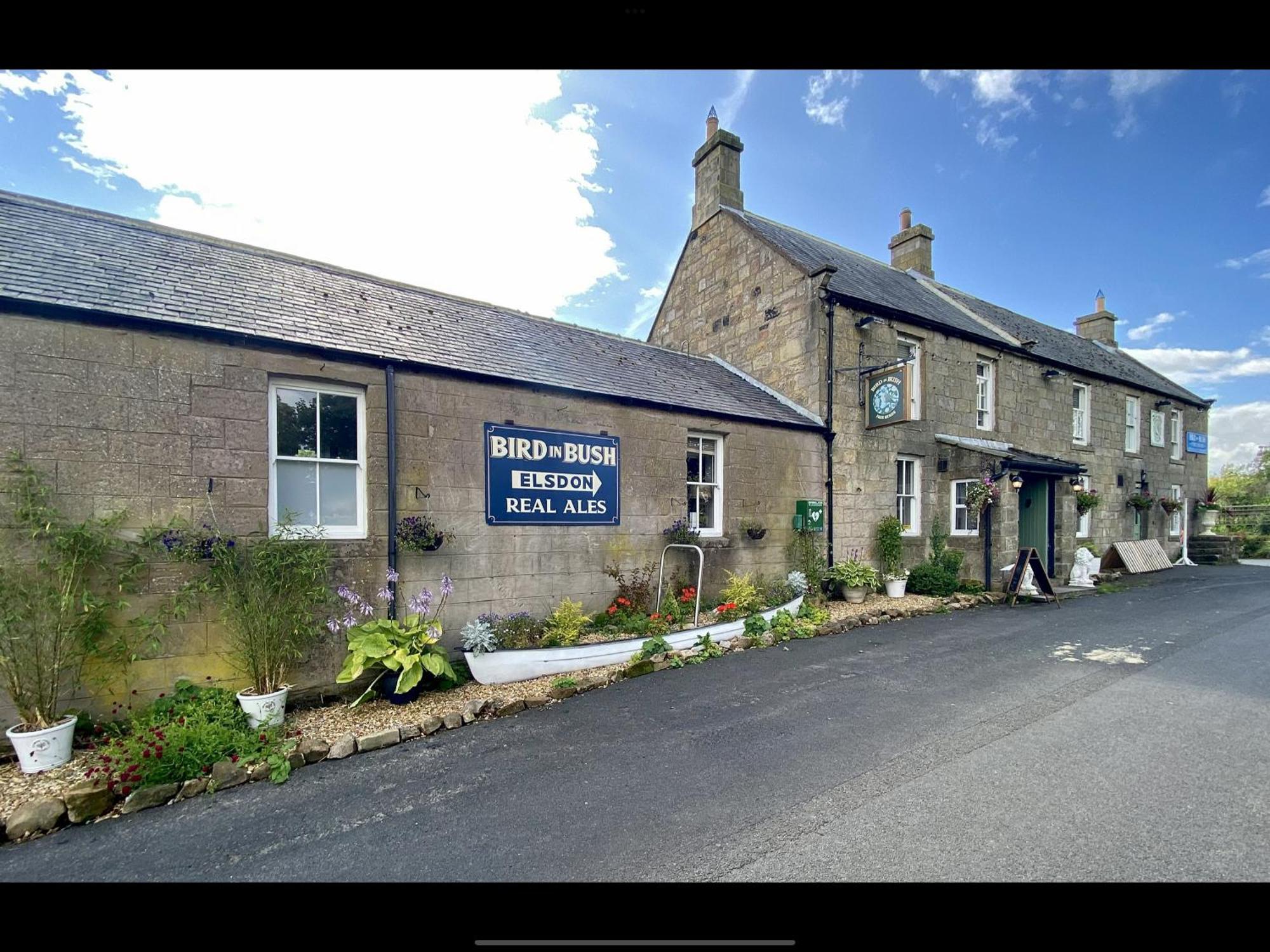 ホテル Bird In Bush Elsdon エクステリア 写真